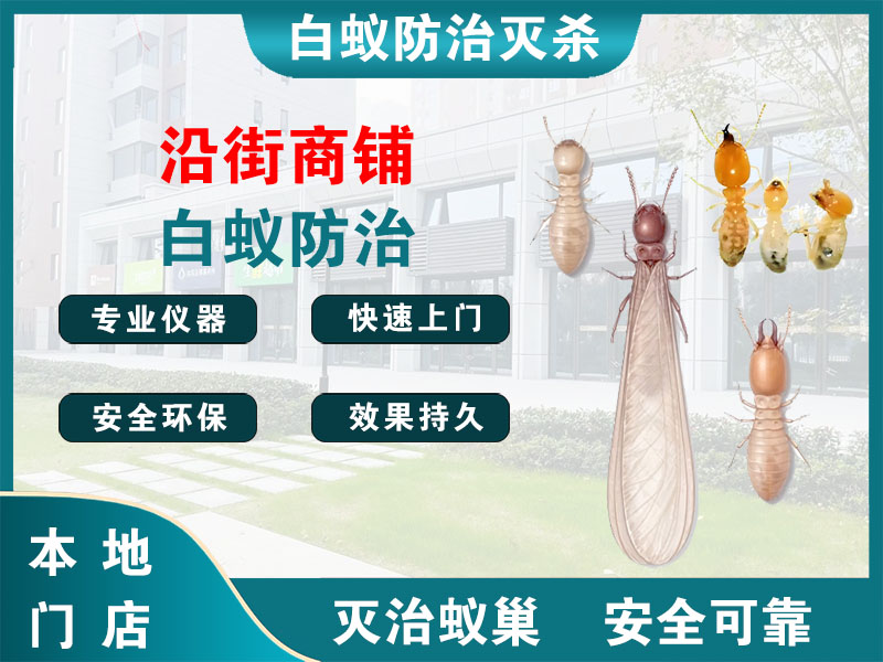 长宁区沿街商铺白蚁防治