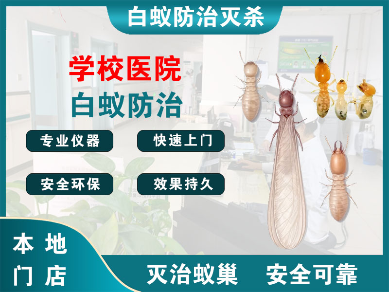 长宁区学校医院白蚁防治