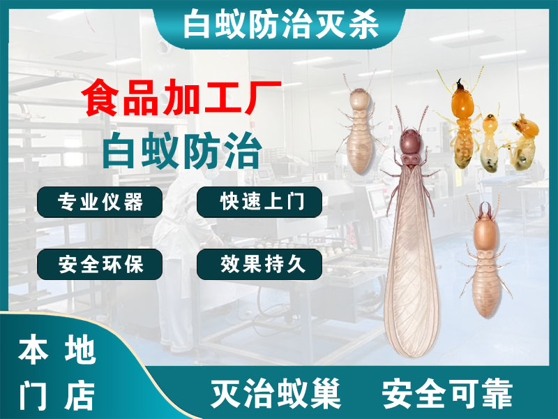 长宁区食品加工厂白蚁防治
