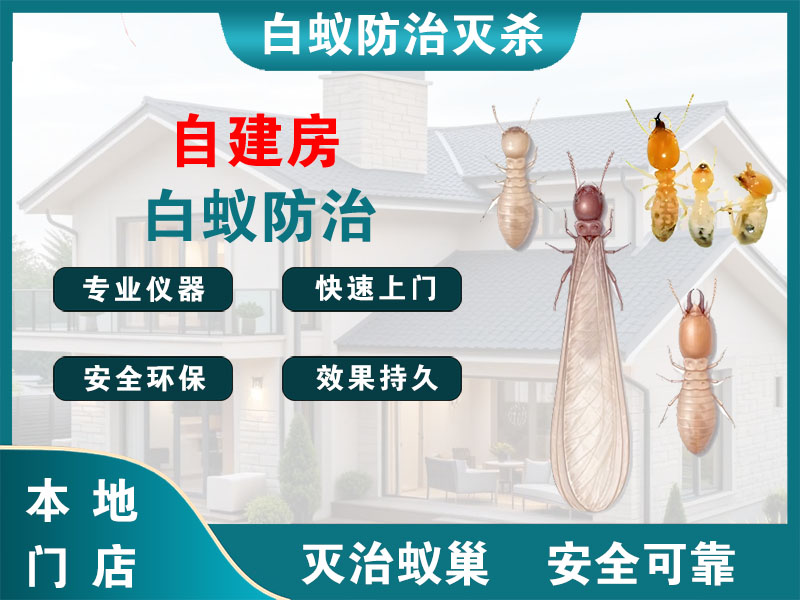 长宁区自建房白蚁防治