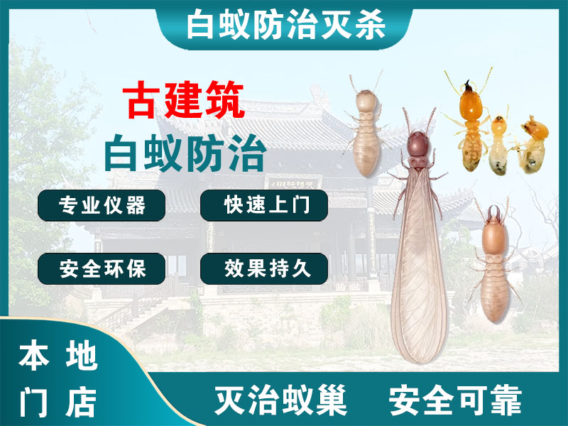 长宁区古建筑白蚁防治