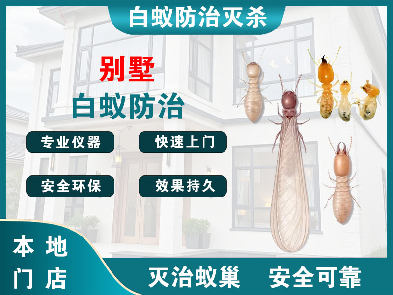 长宁区别墅白蚁防治