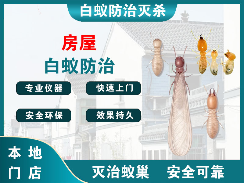 长宁区房屋白蚁防治